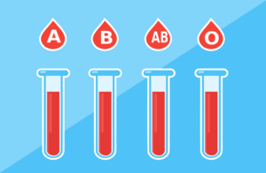 The 4 ABO blood groups: A, B, AB & O