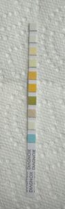 Urine dipsticks are commonly used to test for UTI at-home. 