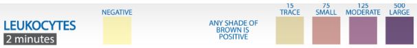 Leukocyte Esterase color chart