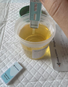 Prime Screen: collecting a urine specimen