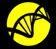Morgan Diagnostics