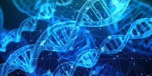 Paternity Testing Basics