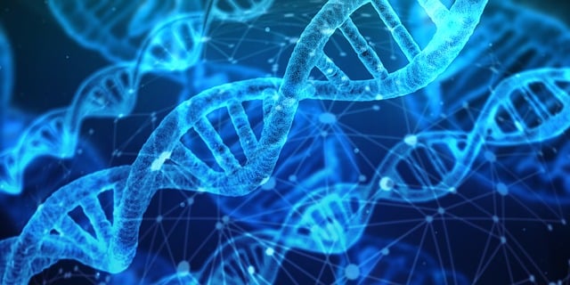 DNA testing is the gold standard for determining paternity.